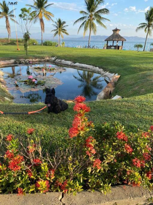Acapulco Diamante Hermoso Departamento المظهر الخارجي الصورة